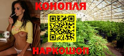 прущие грибы Изобильный