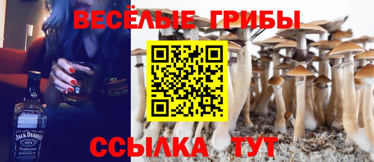 Сарапул  Псилоцибиновые грибы MAGIC MUSHROOMS  Галлюциногенные грибы Psilocybe  Вход с VPN 